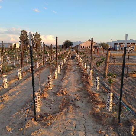 פארומפ Black Star Ranch Vineyard מראה חיצוני תמונה